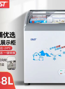 SAST先科雪糕柜展示柜商用冷冻冷藏卧式家用冰柜小型玻璃门圆弧柜