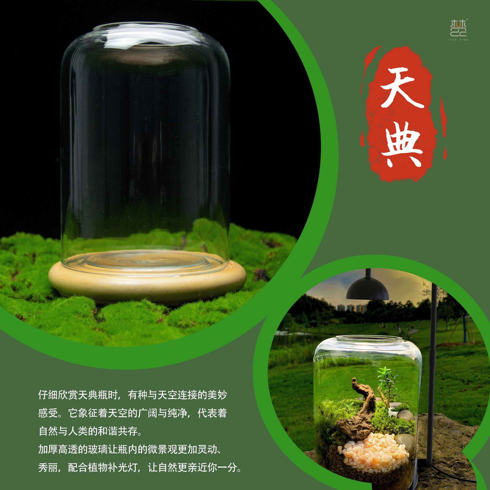 生态瓶微景观桌面摆件造景生态鱼缸苔藓植物玻璃瓶水培瓶生命