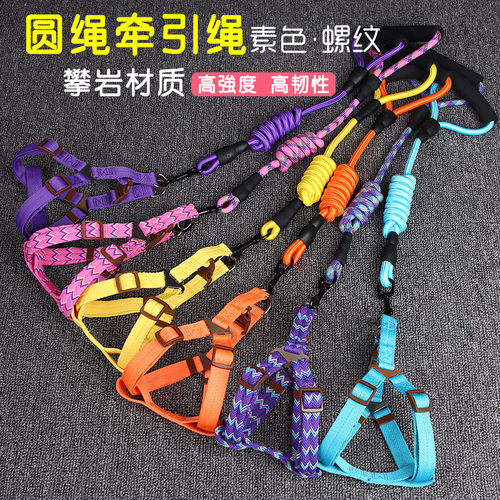 宠物链子比熊博美雪纳瑞牵引绳
