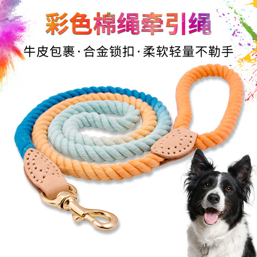 彩色渐变狗狗牵引绳金毛法斗可爱