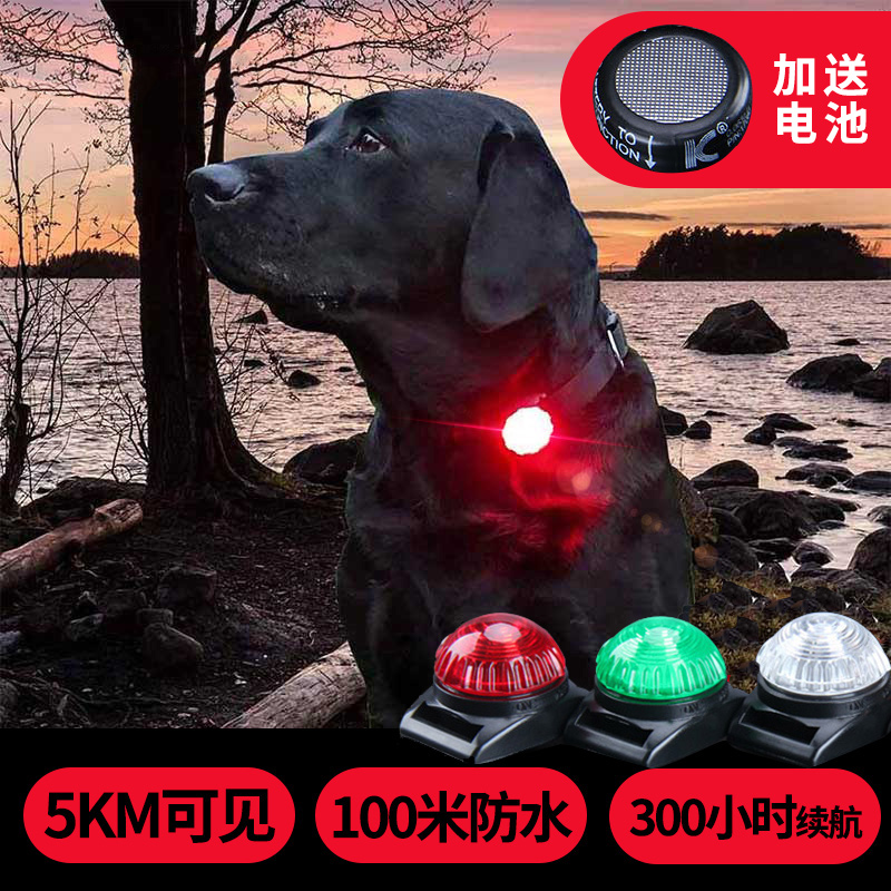 LED遛狗灯泰迪发光宠物项圈防走失灯猫咪铃铛吊坠夜间狗狗安全灯