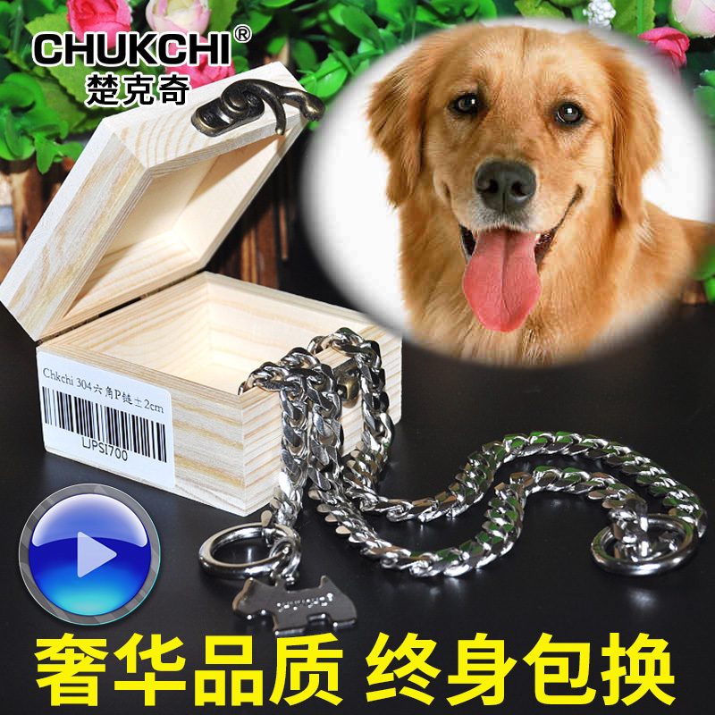 楚克奇p链中大型犬金毛项圈