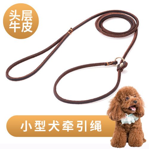 牛皮P链套装雪纳瑞狗狗牵引绳