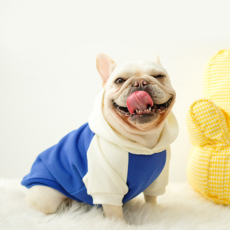 法斗衣服狗狗秋冬装斗牛犬可爱帽衫巴哥泰迪宠物秋天小中型犬冬季