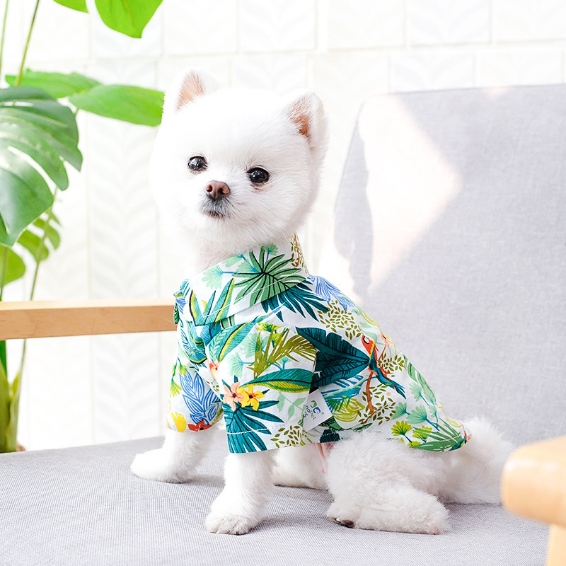 小狗狗衬衫沙滩风泰迪比熊夏装清凉夏季薄款透气小型幼犬宠物衣服