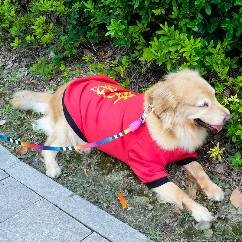 大狗狗衣服秋冬装金毛犬拉布拉多秋天可爱中型犬大型犬冬季萨摩耶