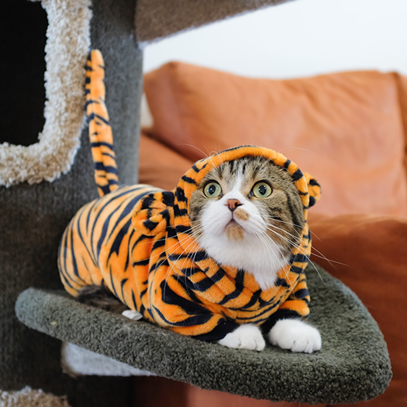 小猫咪衣服秋冬装老虎装冬天四脚蓝猫英短冬季猫猫狗狗宠物防掉毛