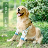 Гвардейские охранники для домашних коленок