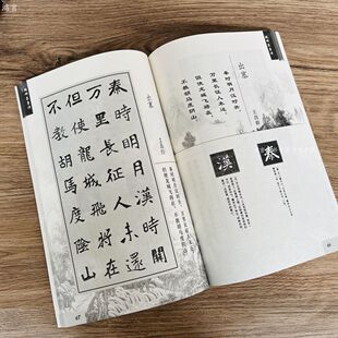 魏碑集唐诗碑刻碑帖集字毛笔书法古诗字帖张猛龙碑赏析鉴赏字帖