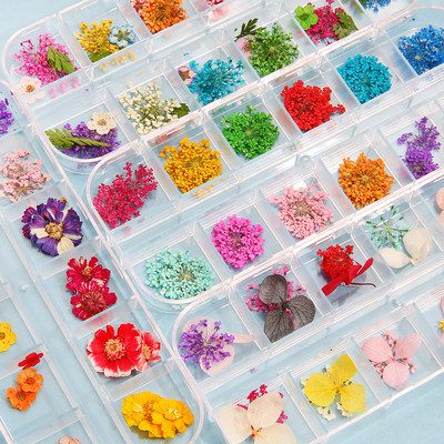 1Box Dried Flowers Dry Plants for Resin Molds Fillings