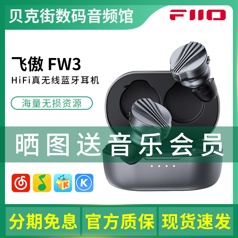 FiiO/飞傲 FW3真无线HiFi发烧蓝牙耳机双耳入耳式运动通话耳塞