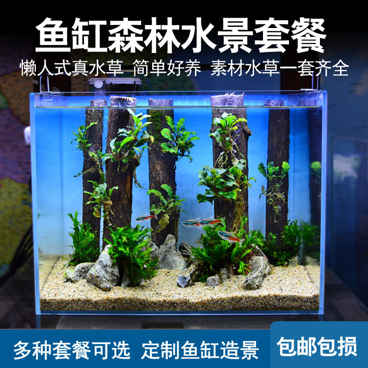 泡泡森林之歌草缸造景鱼缸客厅小型桌面超白玻璃生态鱼缸黑猫同款
