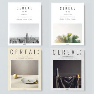 样板房装饰真书简约现代拍照摄影道具书谷物杂志系列书房陈列摆件