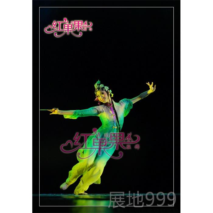 高档台族演出服古典装舞服芳春行舞蹈服民服装桃舞李杯