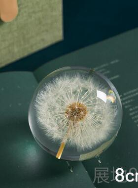 高档公英标本树脂蒲水晶球植物摆滴成品永胶生花镇纸音乐盒小夜件