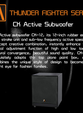 丹麦FA shion 泛声CK-12有源低音炮音箱