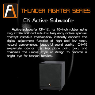 丹麦FA shion 泛声CK-12有源低音炮音箱