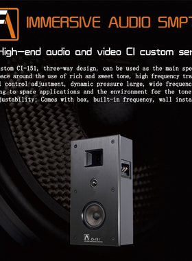 丹麦FA shion泛声音响CI-151隐藏入墙式音响私人定制家庭影院系统
