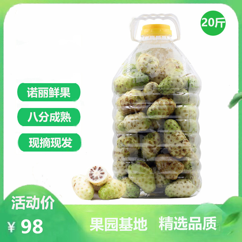 新鲜诺丽果鲜果食用养生环保1310酵素原料发酵桶野生果园直发20斤