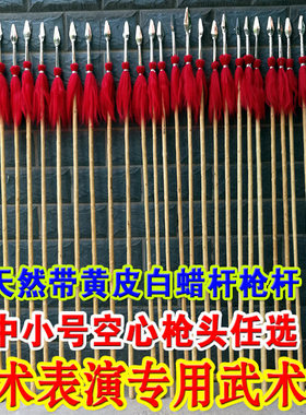 武术枪太极枪红缨枪空心