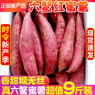 福建六鳌红蜜薯9斤红薯地瓜新鲜山芋糖现挖红心农家自种沙地番薯