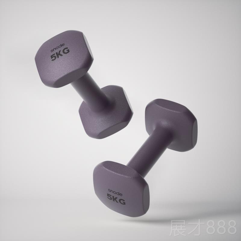 正品斯诺小哑铃女士健2身用德瘦肚子减肥居家锻炼实心铸铁kg一对