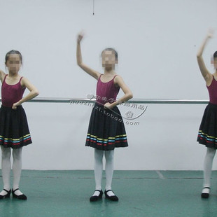 专业芭蕾舞考级裙  舞蹈练功裙 土风裙 性格舞裙 代表裙 俄罗斯舞