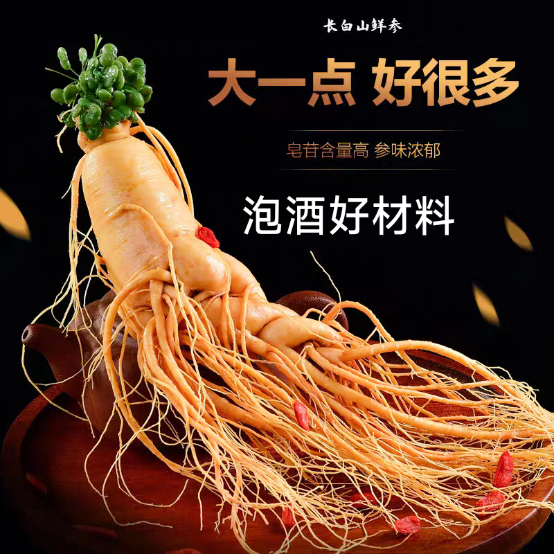 长白山泡酒专用人参新鲜保鲜参产地直发超大500g超值一斤整支特大