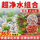 火山石雨花石小米鱼缸造景底砂专用古法鱼缸造景装 饰底部砂石铺底