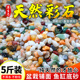 鱼缸造景专用天然雨花石底砂火山石溪流石五彩鹅卵石生态全套装 饰