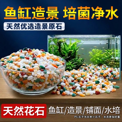 雨花石鱼缸造景多肉盆栽铺面石