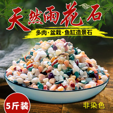 天然雨花石彩色小石子五彩石鹅卵石多肉盆栽养花铺面鱼缸造景石头