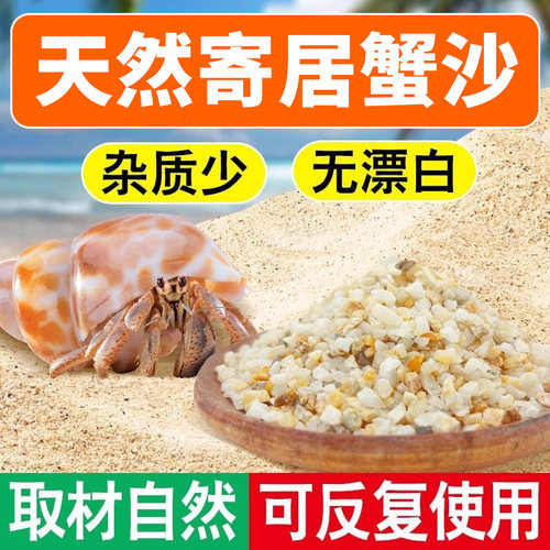 鱼缸造景免洗海沙寄居蟹专用沙水草石乌龟铺底鱼缸底砂乌龟海绵砂