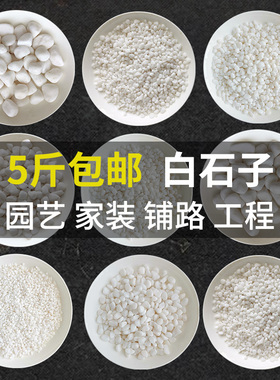 天然小白石子鹅卵石多肉铺面石子雨花石盆栽花盆庭院造景白色石头