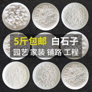 天然小白石子鹅卵石多肉铺面石子雨花石盆栽花盆庭院造景白色石头