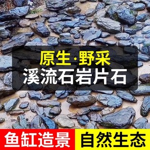 原生态溪流石片石装饰组合造景青石头溪流缸主石鱼缸造景乌龟晒台