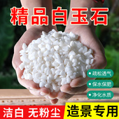 天然鱼缸底砂装 饰造景沙白玉石头子铺底全套摆件生态缸白石夜光石