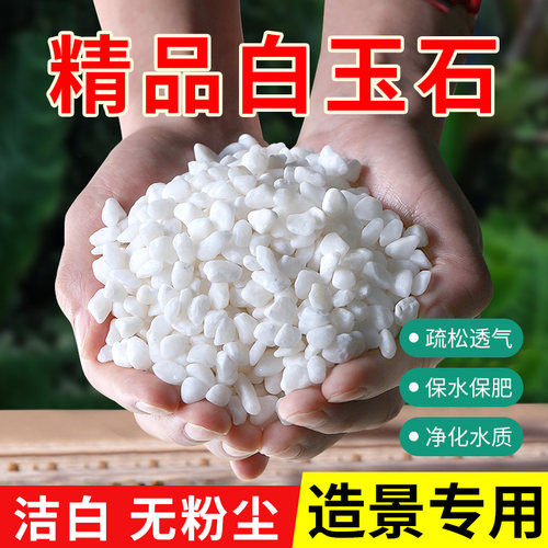 天然鱼缸底砂装饰造景沙白石子