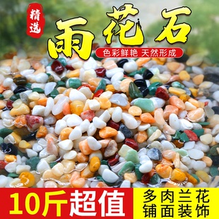 天然鱼缸底部砂石雨花石铺底砂多肉铺面石鹅卵石鱼缸造景彩色石子