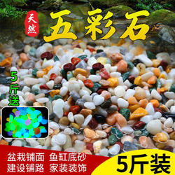 雨花石鱼缸造景专用底部砂石火山石小石头装饰彩石小米鱼缸造景