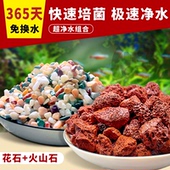 天然火山石鱼缸造景底砂彩色雨花石古法生态缸乌龟草缸过滤铺底石