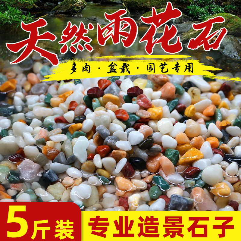 鱼缸造景铺底天然雨花石鱼缸底砂盆栽水培多肉植物铺面装饰小石头