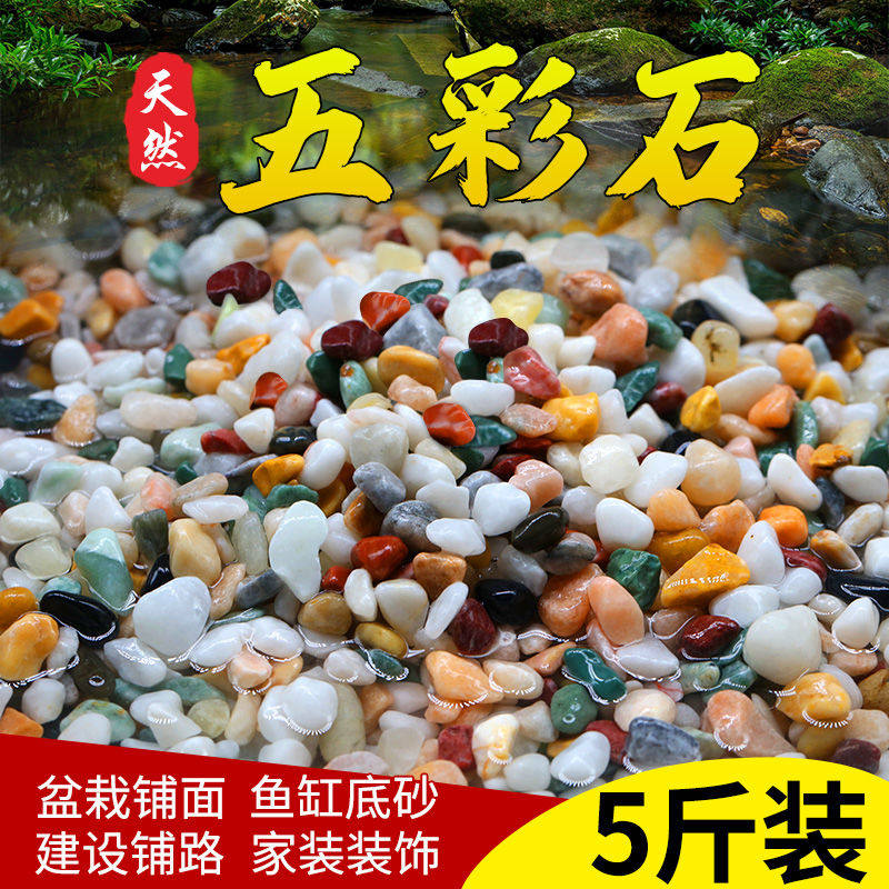 天然彩石雨花石鱼缸装饰造景底部砂石头五彩色鹅卵石生态全套装饰
