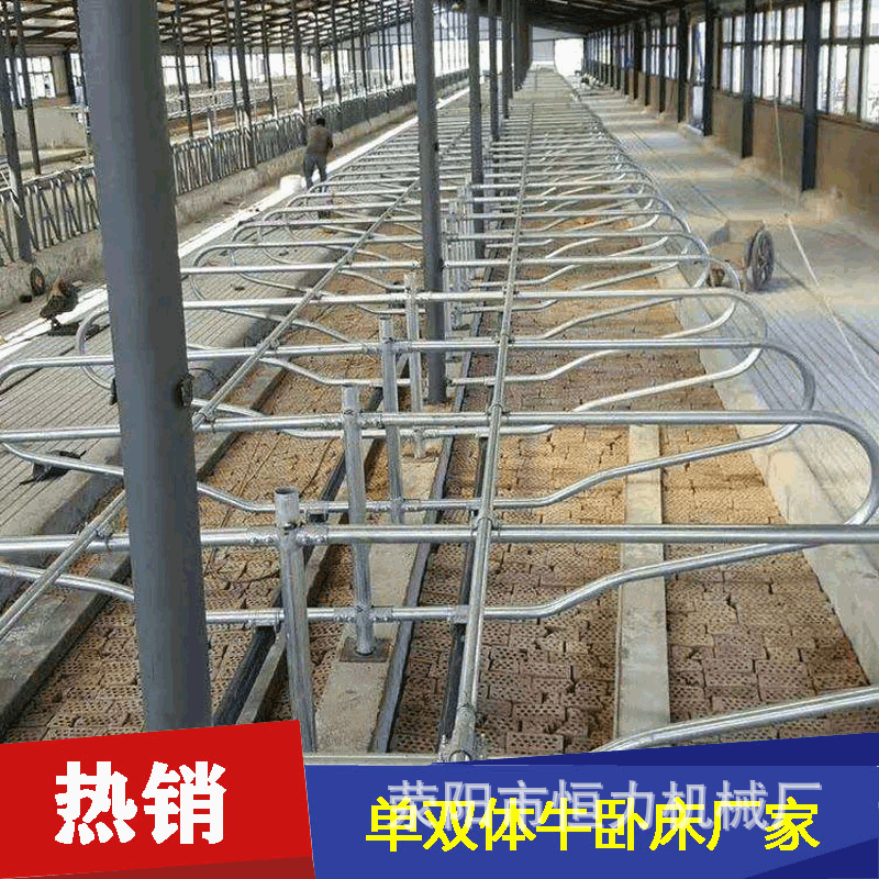 奶牛专用热镀锌牛卧栏 单双面牛卧床安装要求 牛卧栏牛定位栏图片