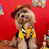 宠物衣服秋冬薄款 帅气可爱牛仔风加厚四角衣 防寒变身装