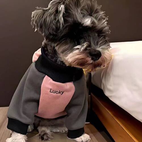 狗衣服春秋新款帅气衣服雪纳瑞猎狐犬春秋装内搭拼接保暖长袖卫衣