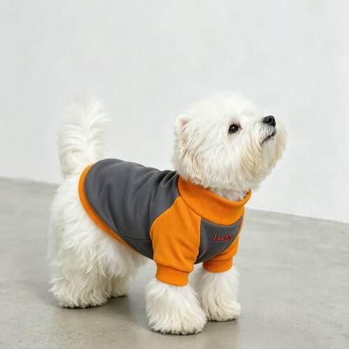狗衣服秋冬新款帅气衣服雪纳瑞猎狐犬春秋装内搭拼接保暖长袖卫衣