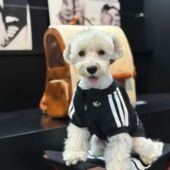 宠物防寒秋冬加绒保暖棉袄发热外出马甲小狗猫咪衣服洋气冲锋棉服