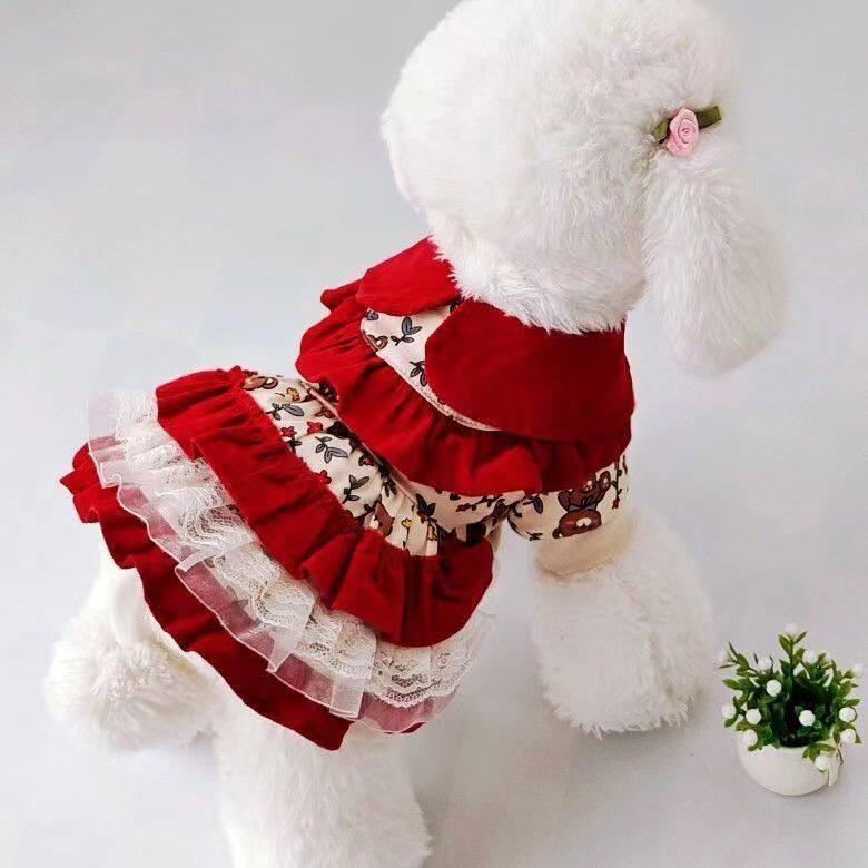 2025秋冬!CQの复古洛丽塔小熊裙 狗狗棉服泰迪连衣裙约克夏裙子