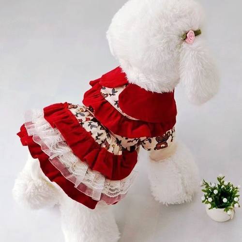 2025秋冬!CQの复古洛丽塔小熊裙 狗狗棉服泰迪连衣裙约克夏裙子